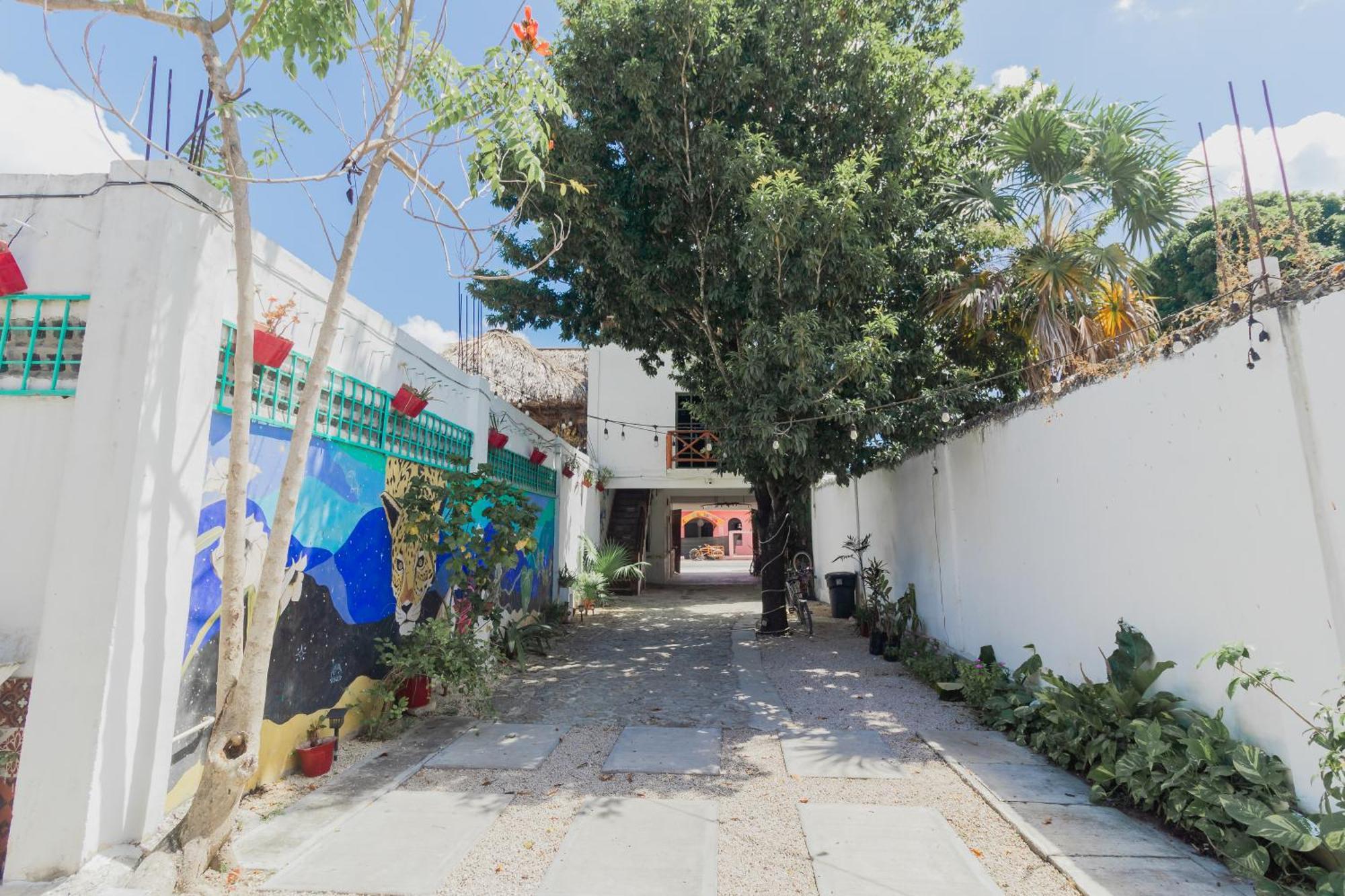Hotel Szapot Bacalar Bagian luar foto